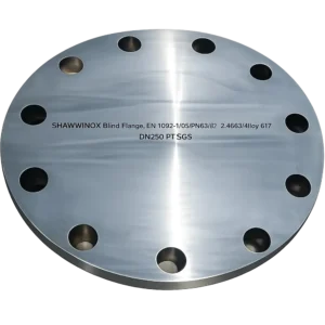 Blind Flange